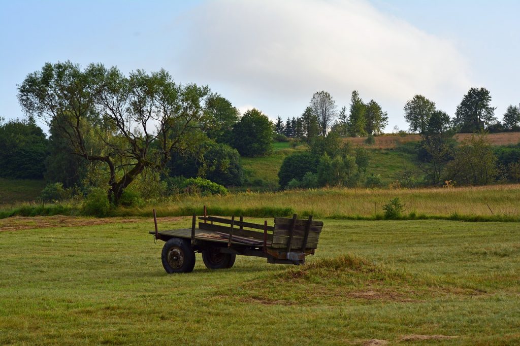 natural, farm, landscape-4425492.jpg